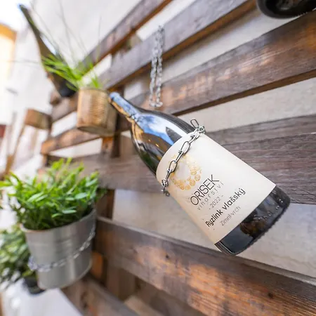 Party Kralikarna ミクロフ